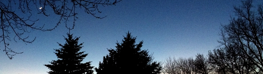 Pre-dawn sky and sliver moon shining over treetops