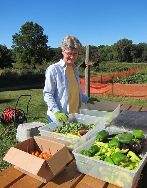 5 Best Probiotics for Weight Loss for Women Spices & Greens