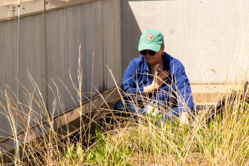 The Great Search with John Philip Newell and Cami Twilling