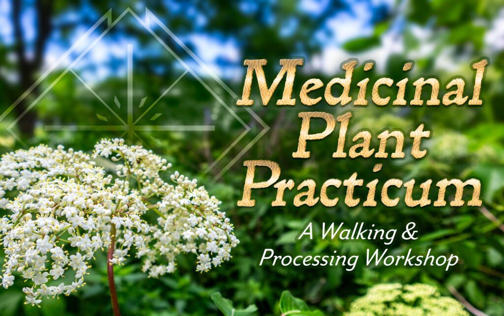 Medicinal plant practicum